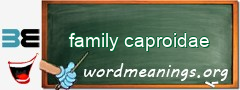 WordMeaning blackboard for family caproidae